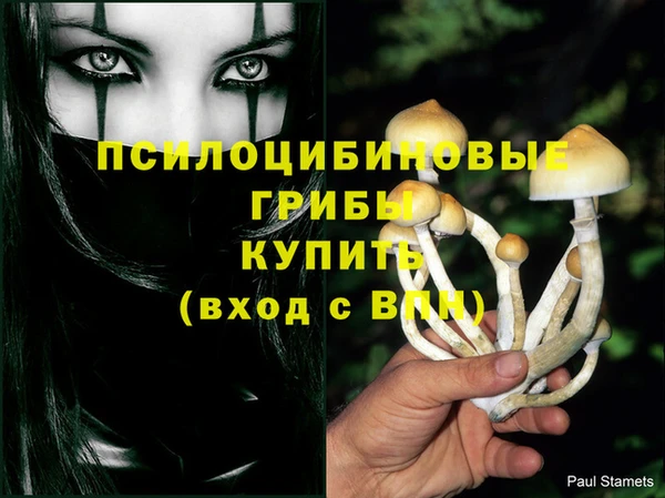 стафф Абаза
