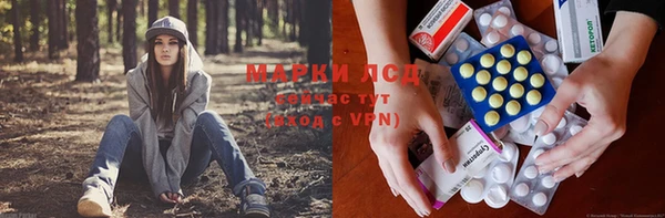 стафф Абаза