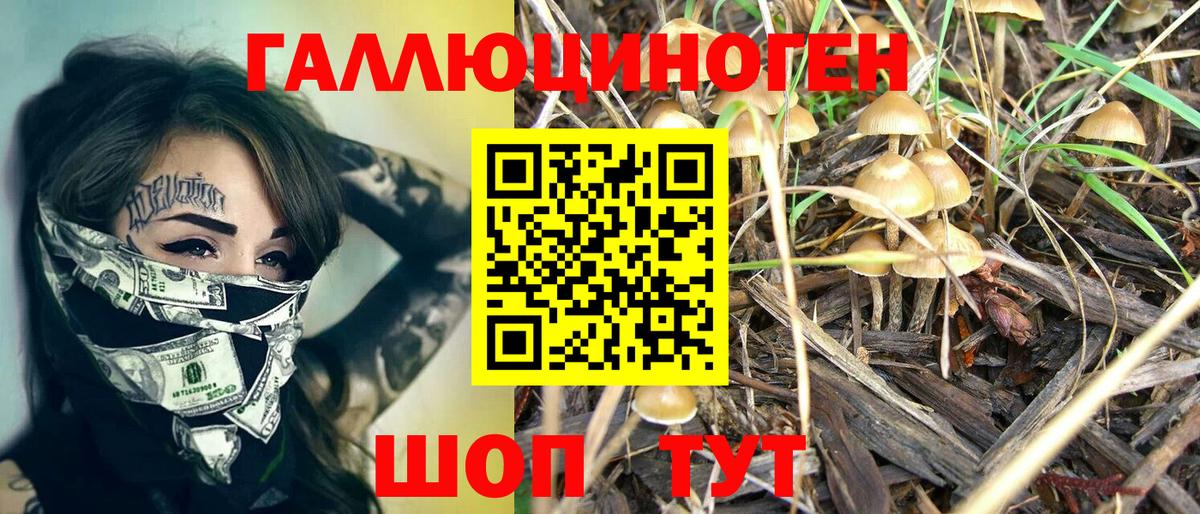 Галлюциногенные грибы GOLDEN TEACHER Димитровград